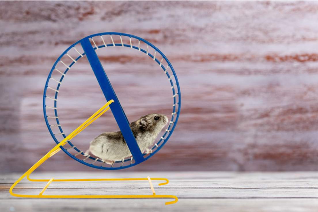 Top 12 Sophisticated Compliments Merriamster